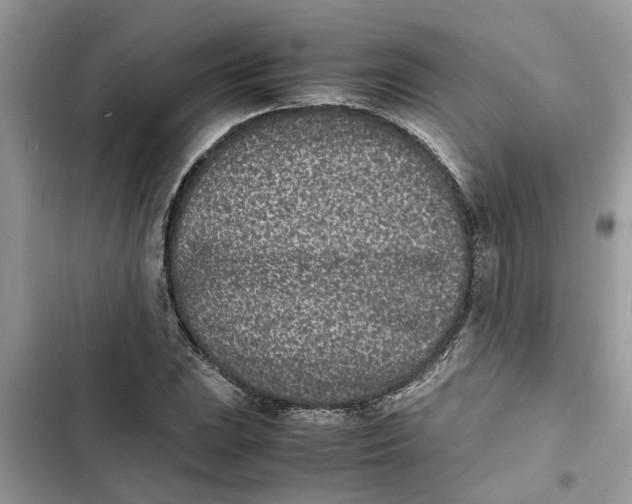 X0000103271023200809191737