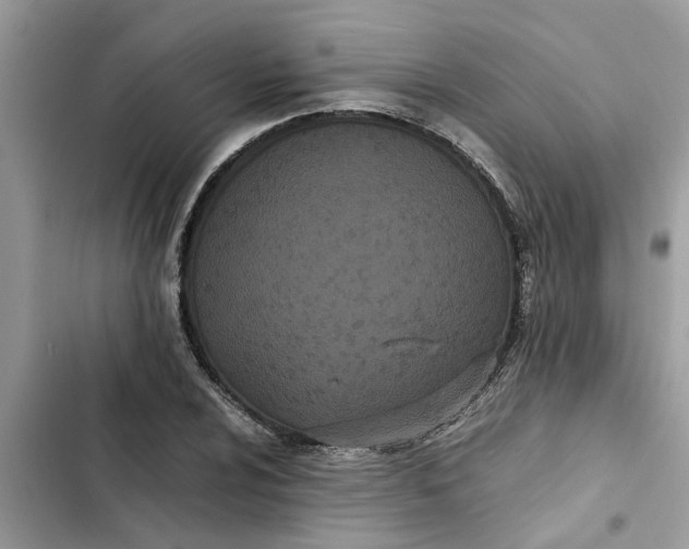 X0000103271024200809191737
