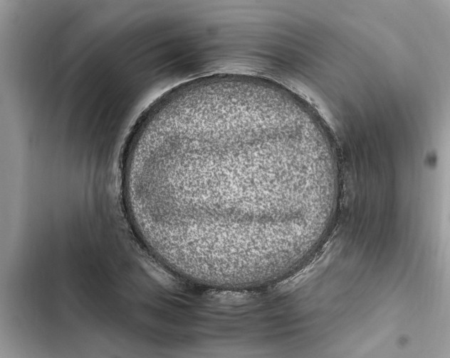 X0000103271027200809191737