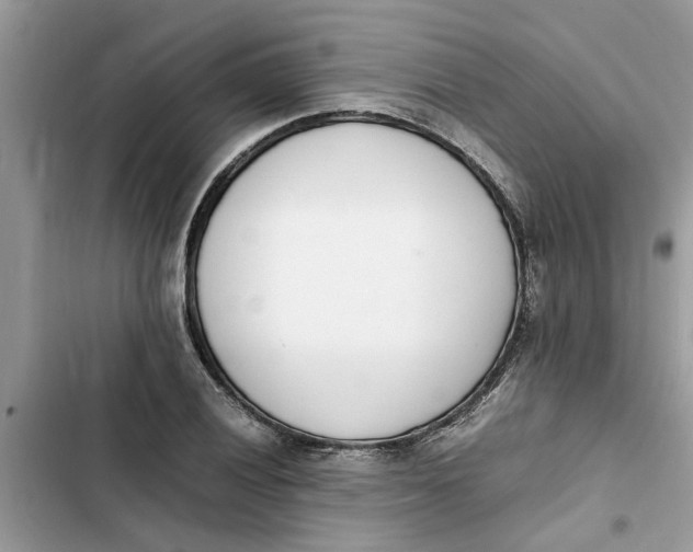 X0000103271028200809191737