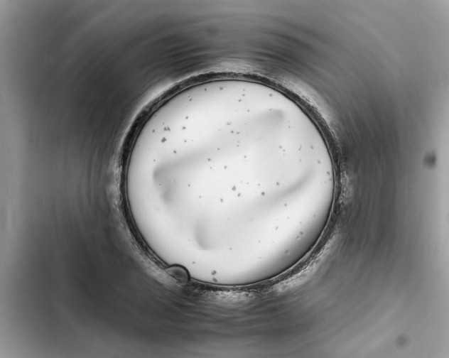 X0000103271029200809191737