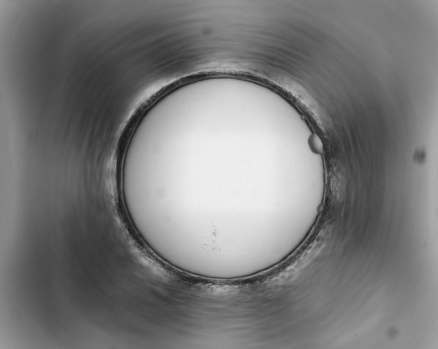 X0000103271030200809191737