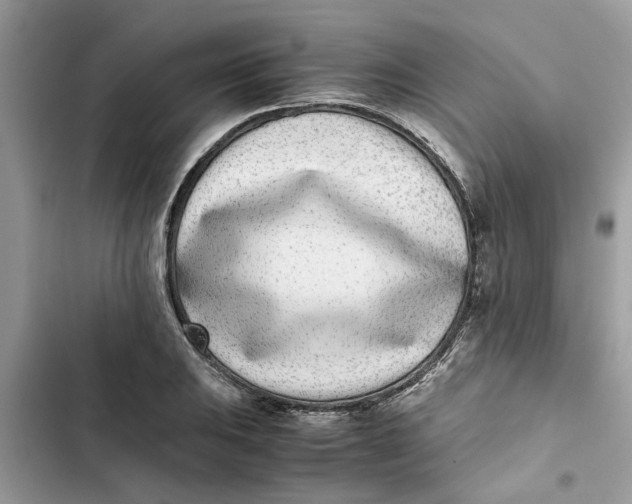 X0000103271031200809191737