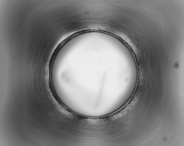 X0000103271032200809191737