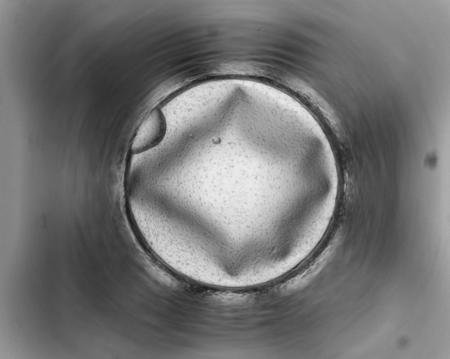 X0000103271033200809191737