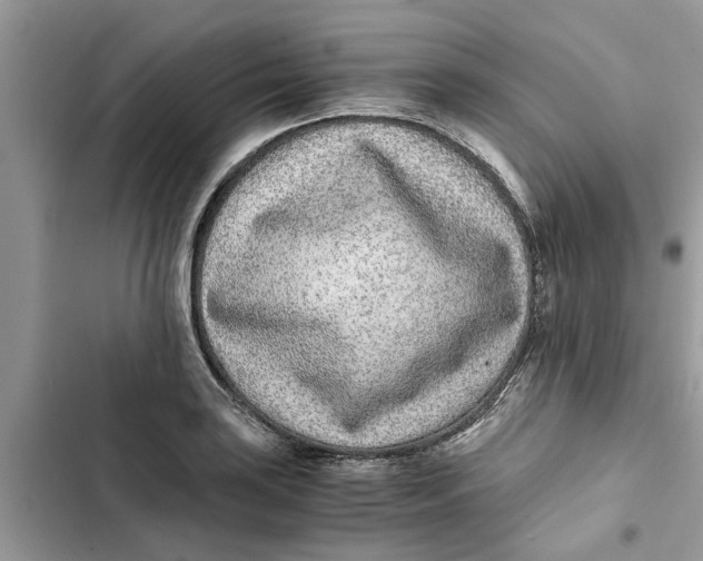 X0000103271035200809191737