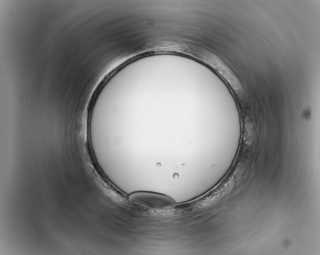 X0000103271036200809191737