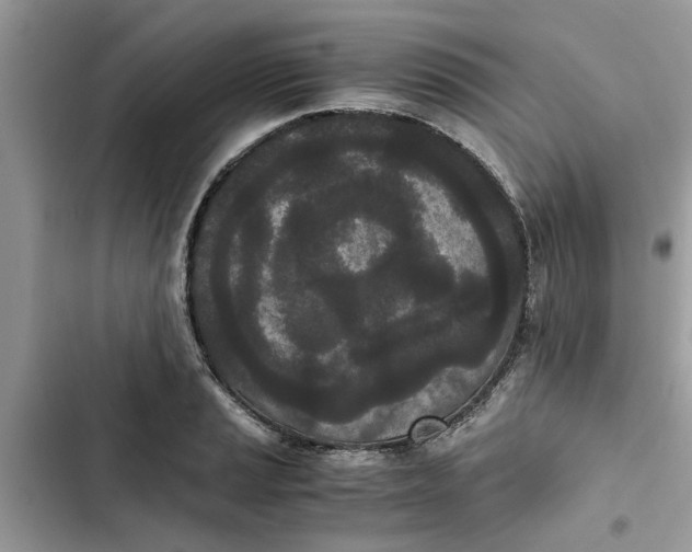 X0000103271037200809191737