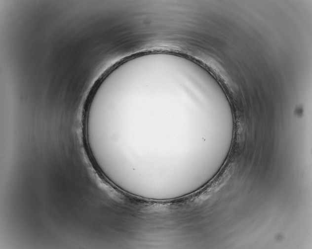 X0000103271038200809191738