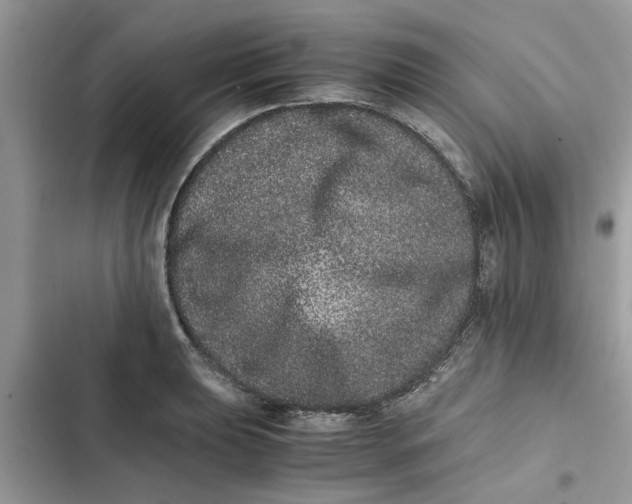 X0000103271039200809191738