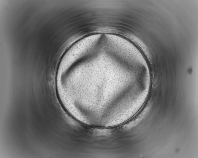 X0000103271041200809191738
