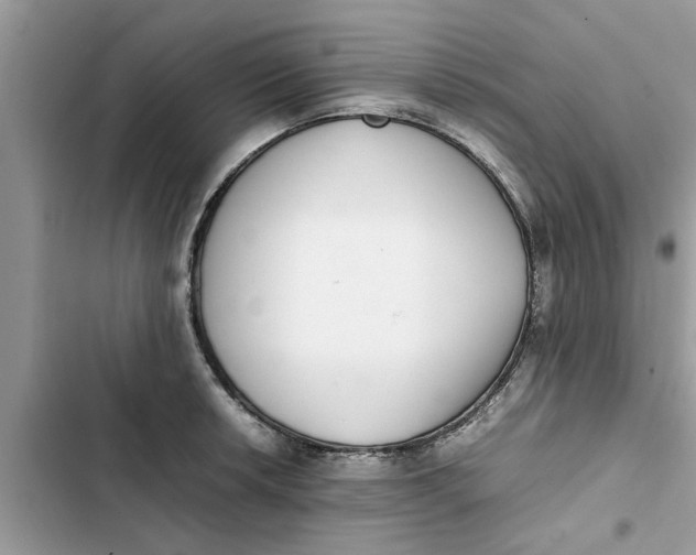 X0000103271042200809191738