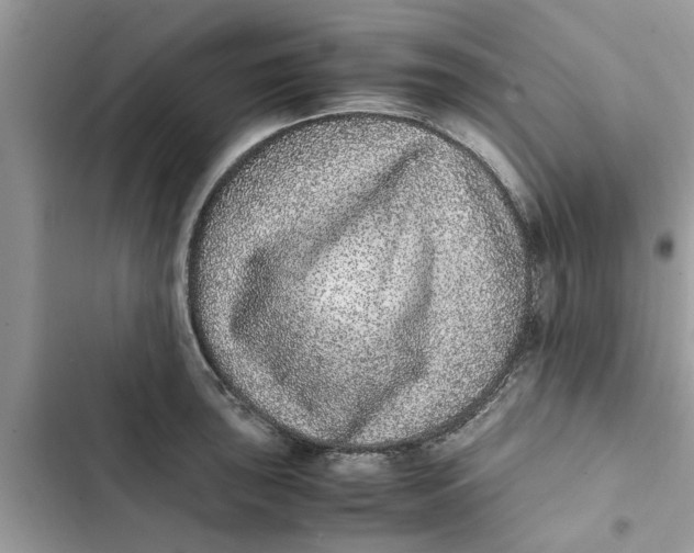 X0000103271043200809191738