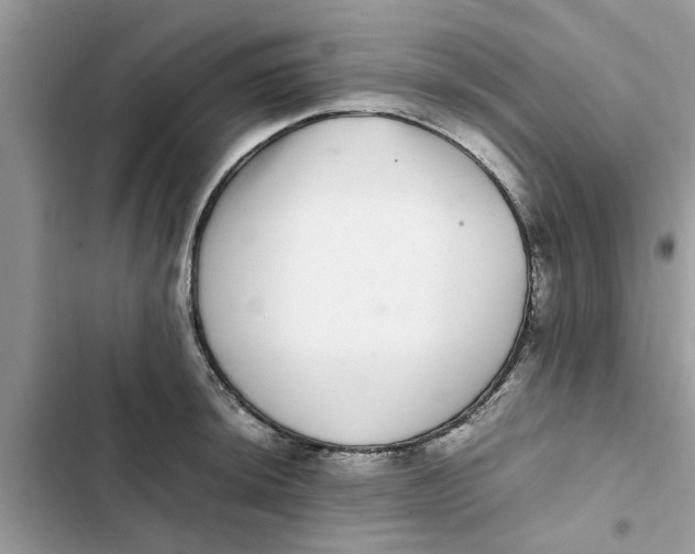 X0000103271044200809191738