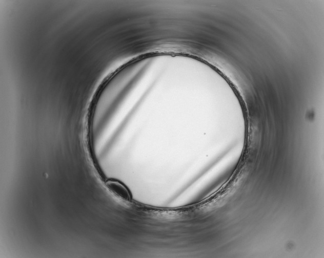 X0000103271045200809191738