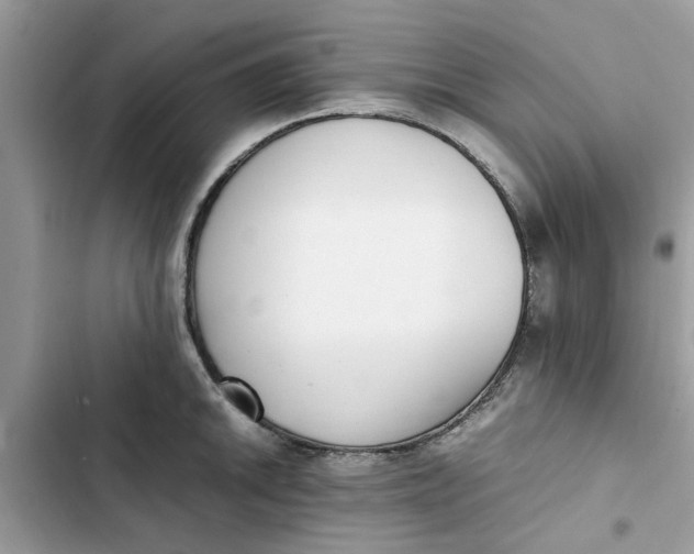 X0000103271046200809191738