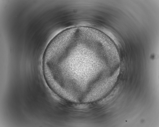 X0000103271047200809191738