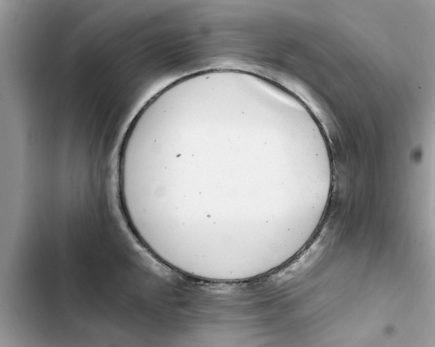 X0000103271048200809191738