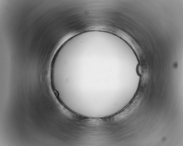 X0000103271050200809191738