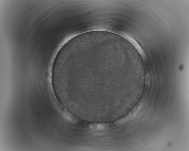 X0000103271051200809191738