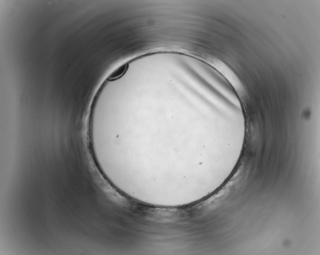X0000103271052200809191738