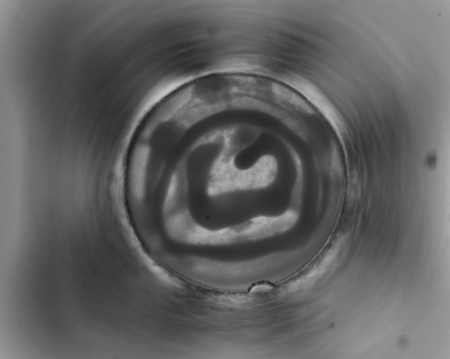 X0000103271053200809191738