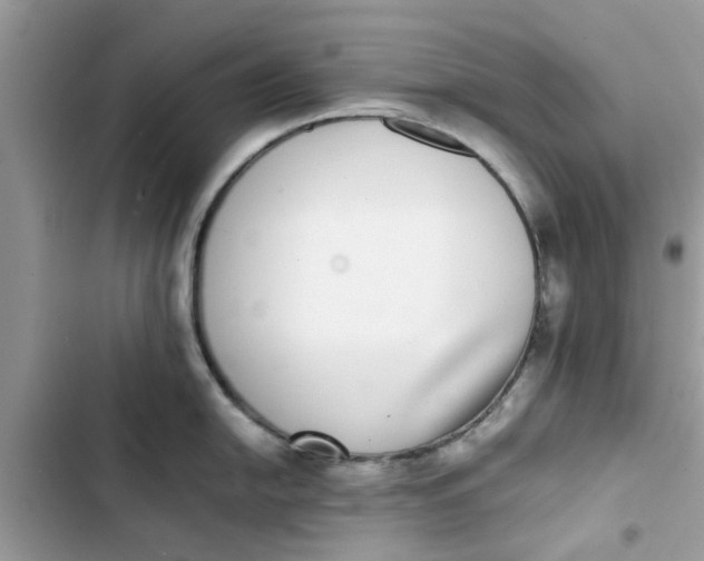 X0000103271054200809191738