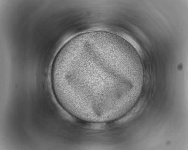 X0000103271055200809191738
