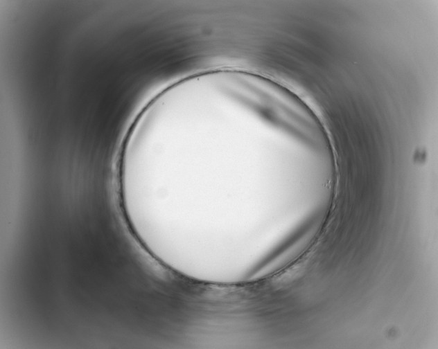 X0000103271056200809191738
