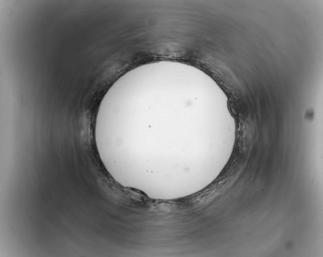 X0000103271058200809191737