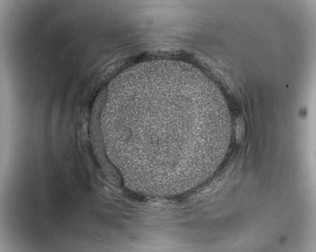 X0000103271059200809191737