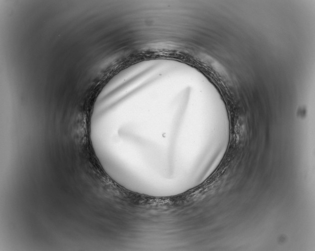 X0000103271062200809191737