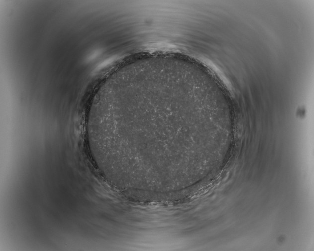 X0000103271063200809191737
