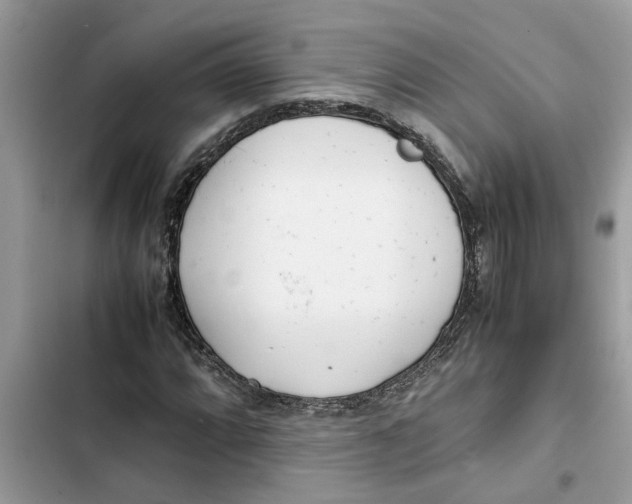 X0000103271064200809191737