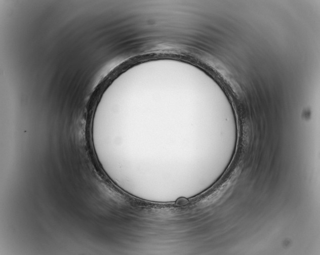 X0000103271066200809191737