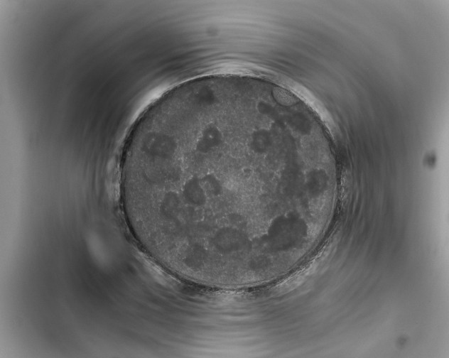 X0000103271067200809191737
