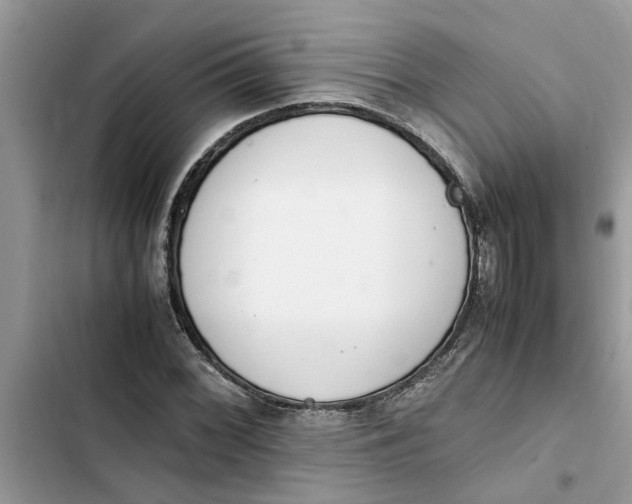 X0000103271068200809191737