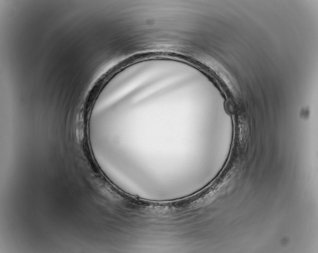 X0000103271069200809191737