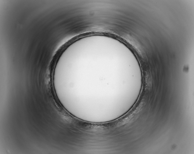 X0000103271070200809191737
