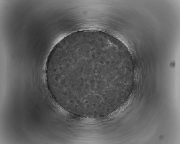 X0000103271071200809191737