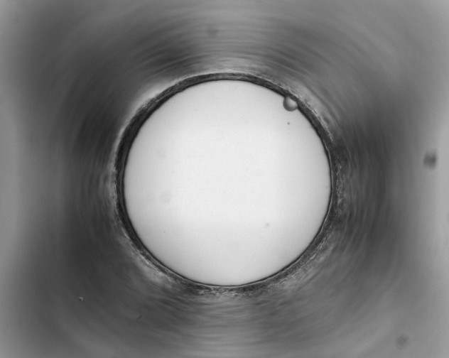 X0000103271072200809191737