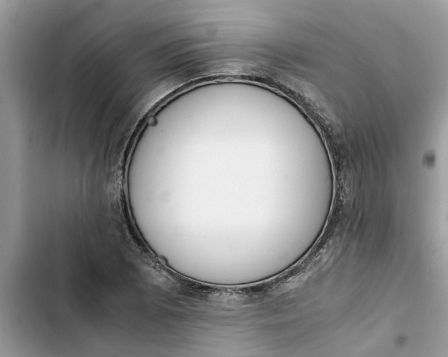 X0000103271073200809191737