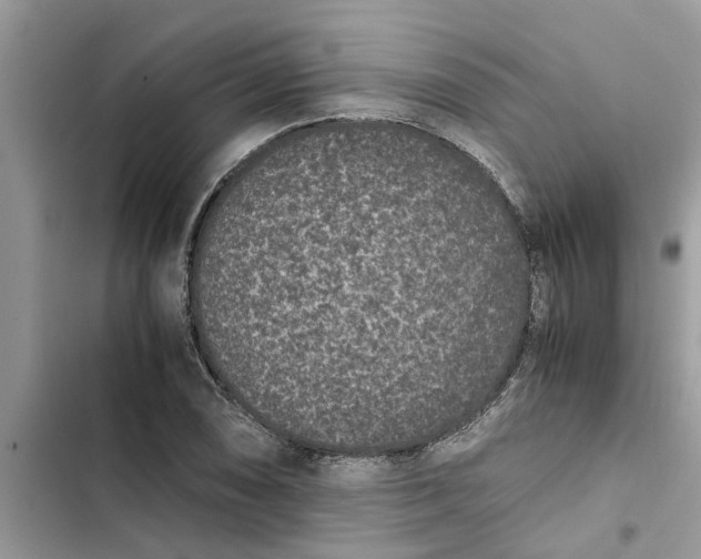 X0000103271074200809191737
