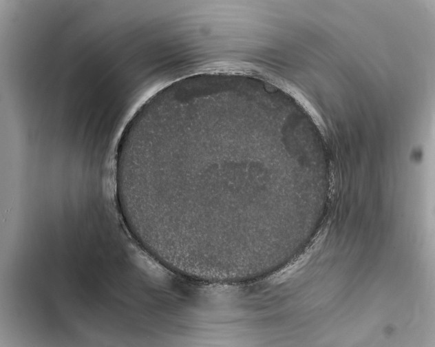X0000103271075200809191737