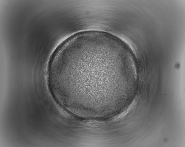 X0000103271077200809191737