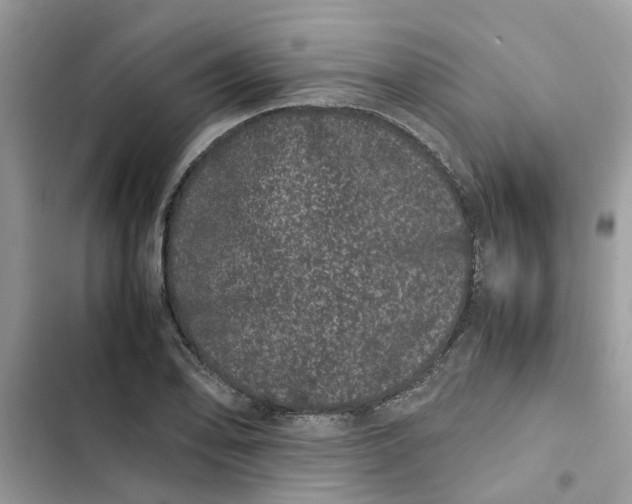 X0000103271078200809191737