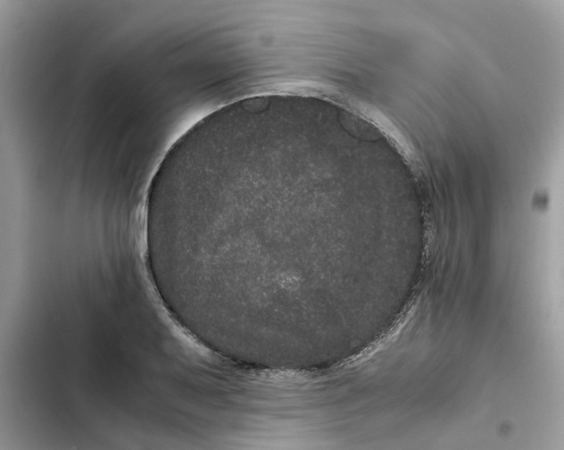 X0000103271079200809191737
