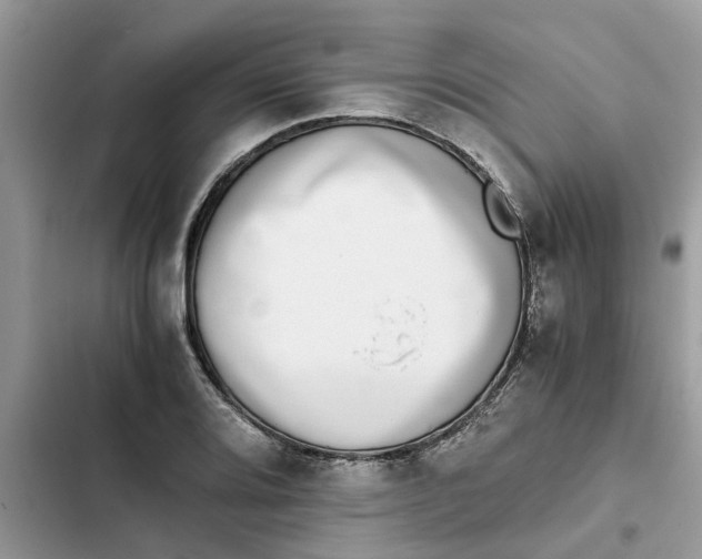 X0000103271080200809191737