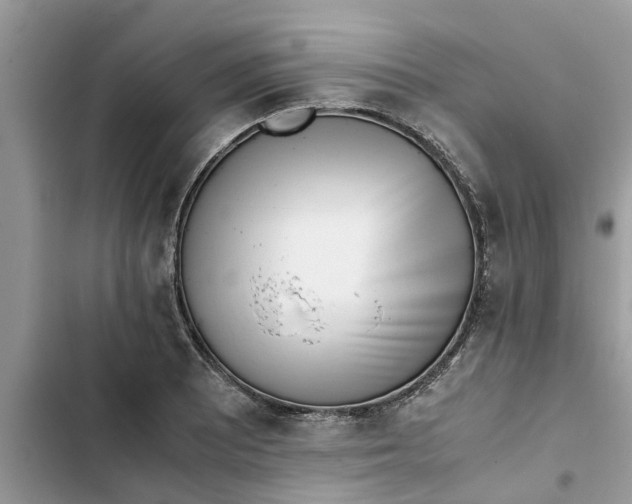X0000103271081200809191737