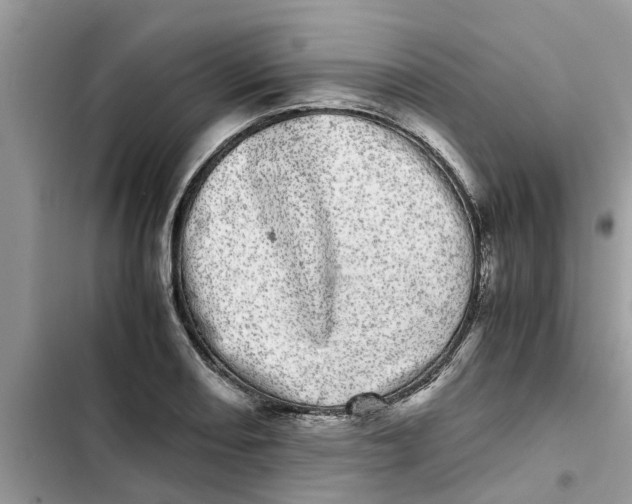 X0000103271082200809191736